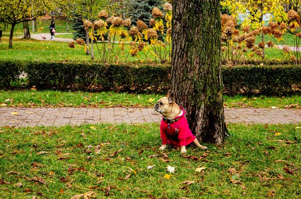 Rhumatismes chez le senior : en finir avec les idées reçues